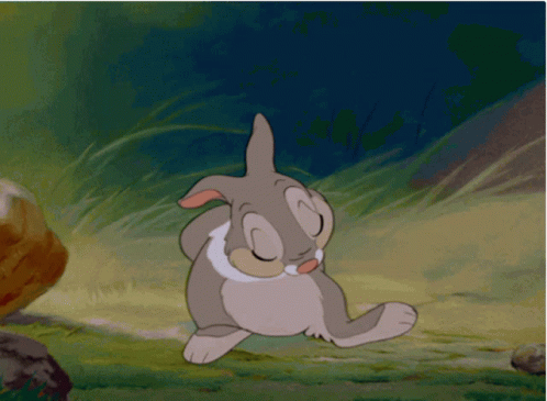 Aww Really GIF - Aww Really Bunny - Discover & Share GIFs